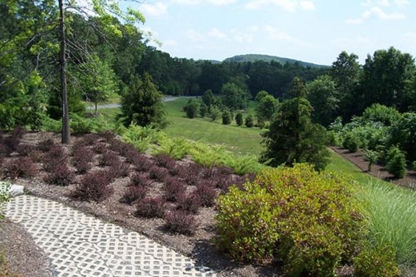 Landscape image.