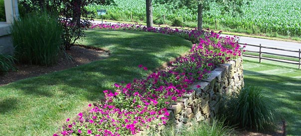 Landscape image.