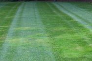 Lawn image
