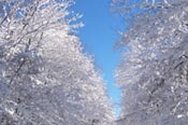 Winter image